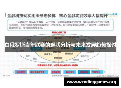 白俄罗斯青年联赛的现状分析与未来发展趋势探讨