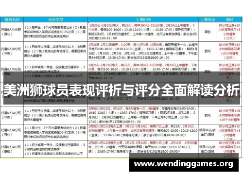 美洲狮球员表现评析与评分全面解读分析