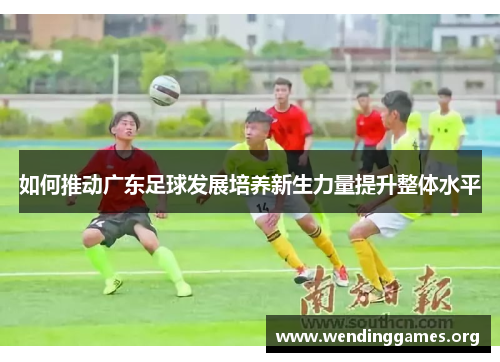 如何推动广东足球发展培养新生力量提升整体水平