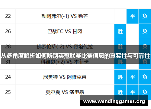 从多角度解析如何辨别英冠联赛比赛信息的真实性与可靠性