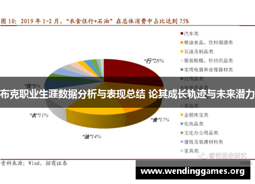 布克职业生涯数据分析与表现总结 论其成长轨迹与未来潜力