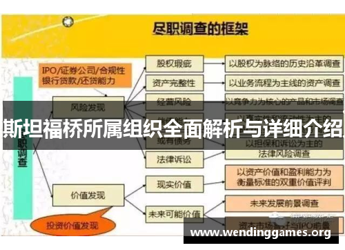 斯坦福桥所属组织全面解析与详细介绍